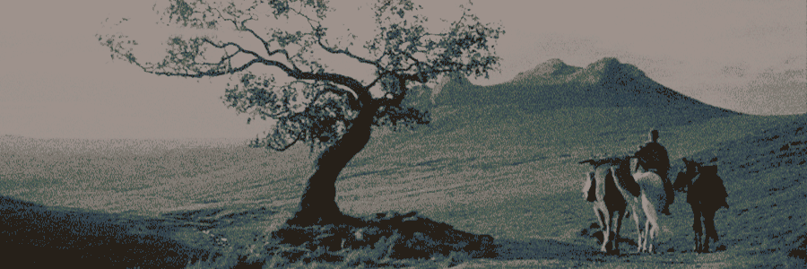 *̲ᅠserᅠduncan tweet media