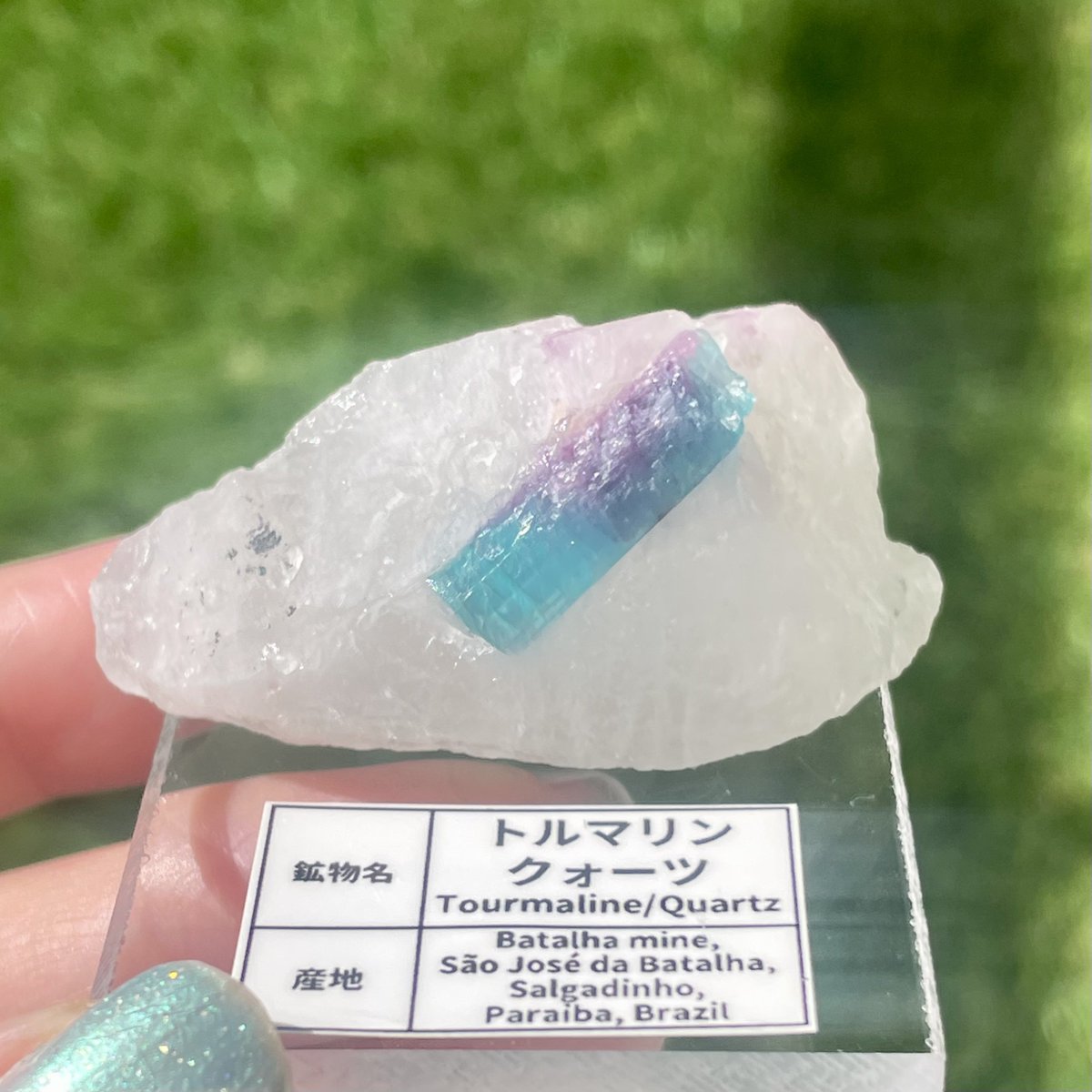 Kotoko (@Kotoko_f) / Posts / X