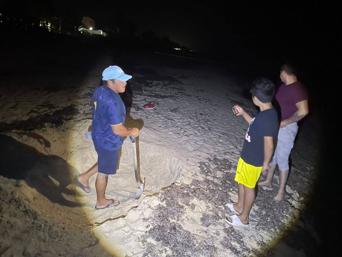 desdebalcon's tweet photo. #YUCATAN Vecinos de #Chelem reportaron el hallazgo de un delfín que recaló sin vida en la playa del este puerto.

Lee la nota aquí:
https://t.co/mMfxYCTjp2 https://t.co/SC6G2LCWEQ