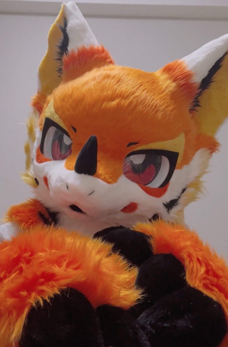 ci_1104's tweet photo. #皆さんのマズル見せてください

短めなのがポイント🍊 https://t.co/ploQGVzGBS