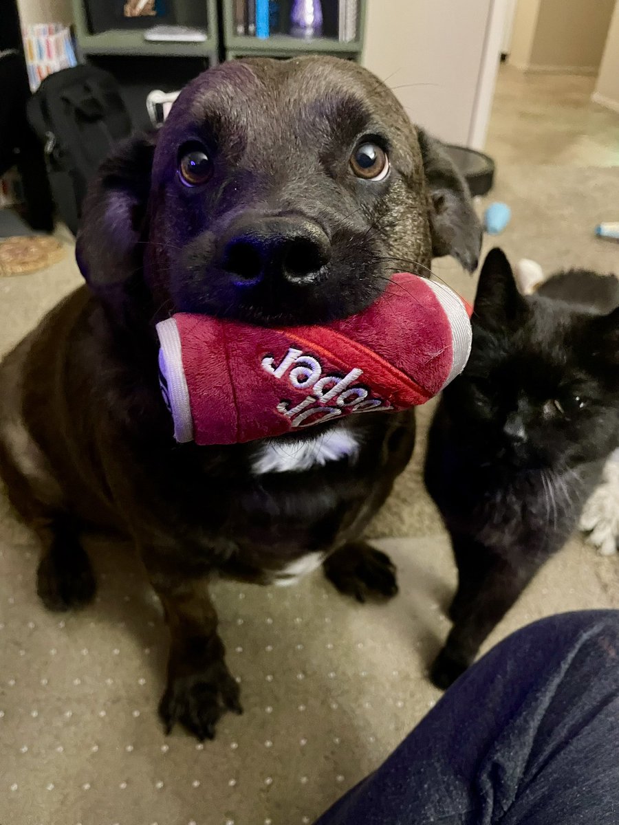 zeke wants you to know his favorite soda is dogter pepper