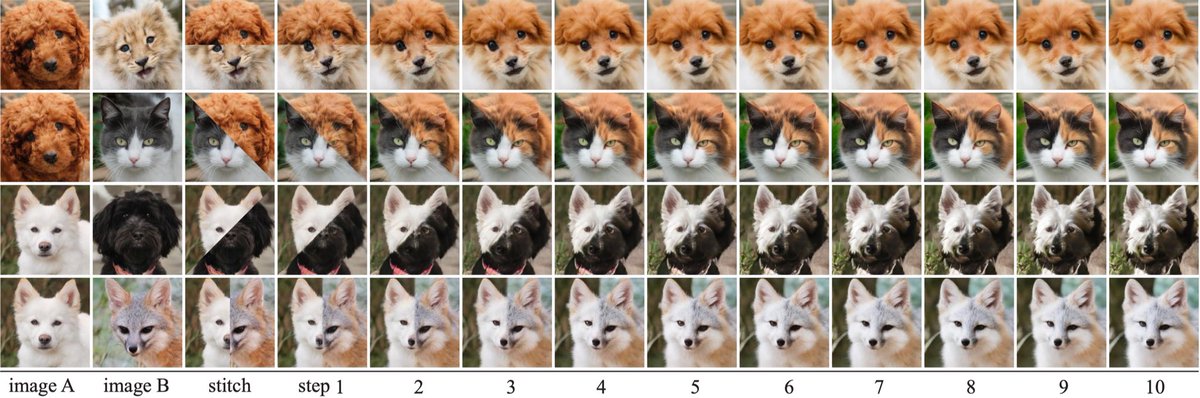 Best image from the paper