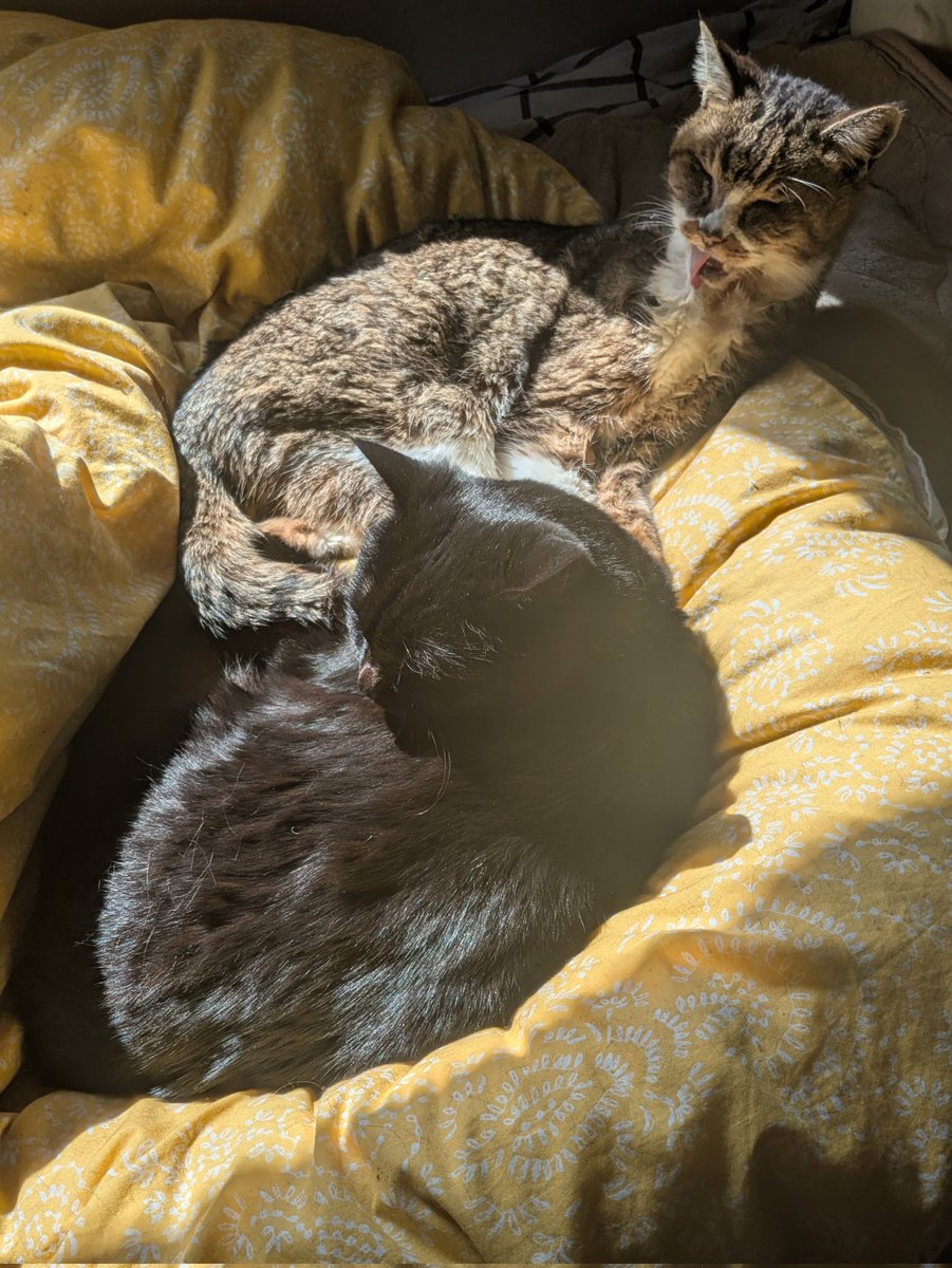 日向あったかいねえ