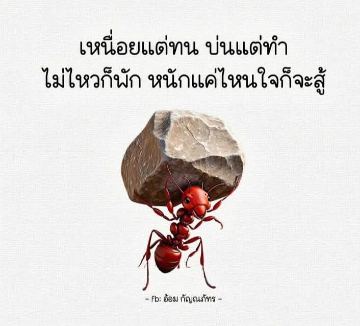 Mukda tweet media
