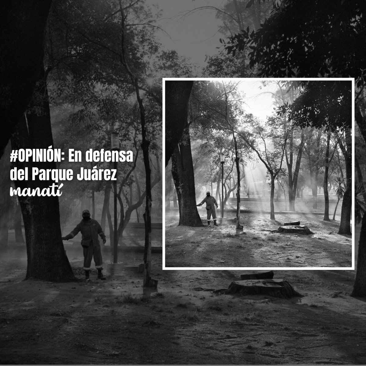 #LaManadaOpina🗣️| "El Parque Juárez no es perfecto. Está lejísimos de ser un parque de postal (...) Pero aún conserva y representa algo que Puebla ha ido perdiendo en las últimas décadas: árboles, parques, áreas verdes"

Escribe <a href="/piaa11/">Pablo Íñigo Argüelles</a>:
➡️manati.mx/2026/02/18/en-…
