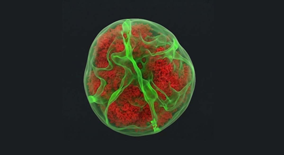 Javier Redondo tweet media