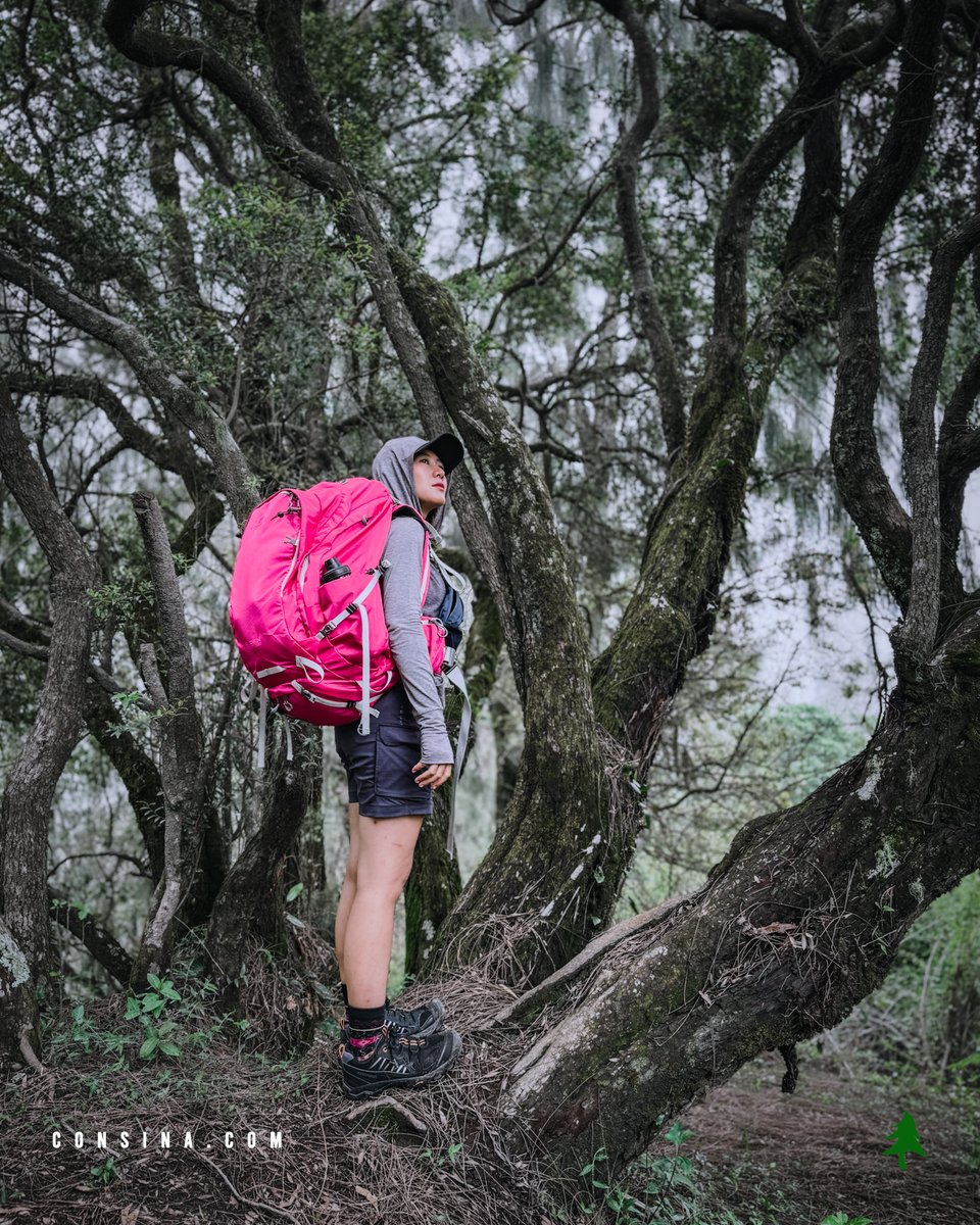 ConsinaOfficial's tweet image. Kabur sebentar, pikiran ikut ringan. Consina Alpen siap nemenin trip 2–3 hari dan bikin gerak bebas dan ringan.

Kunjungi consina.com dan katalog @consina_adventure_catalog untuk berbagai produk-produk terbaik Consina lainnya.

#consina #consinaadventure