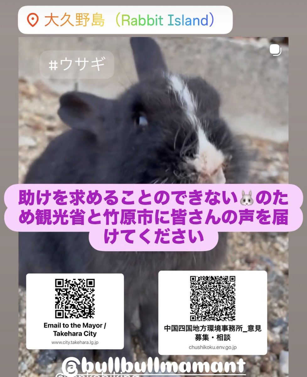 うさページ 皆様の声を届けてください