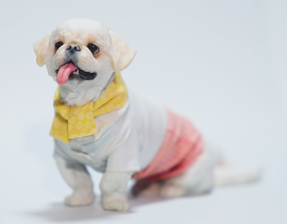 「犬も歩けば」 犬と人の人情ドラマ tweet media