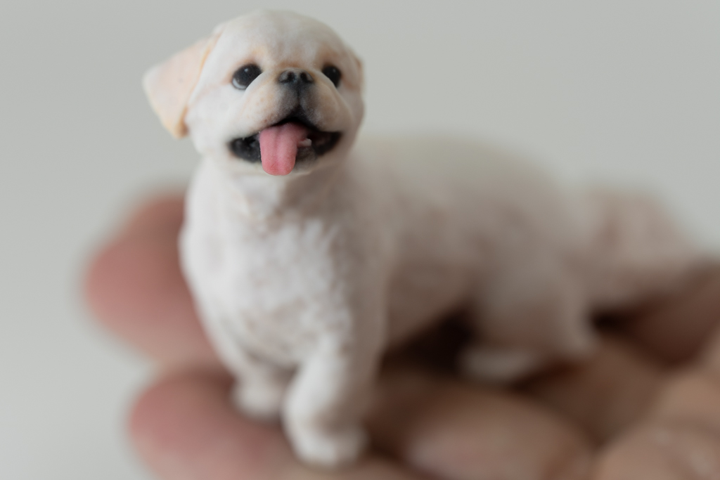 「犬も歩けば」 犬と人の人情ドラマ tweet media
