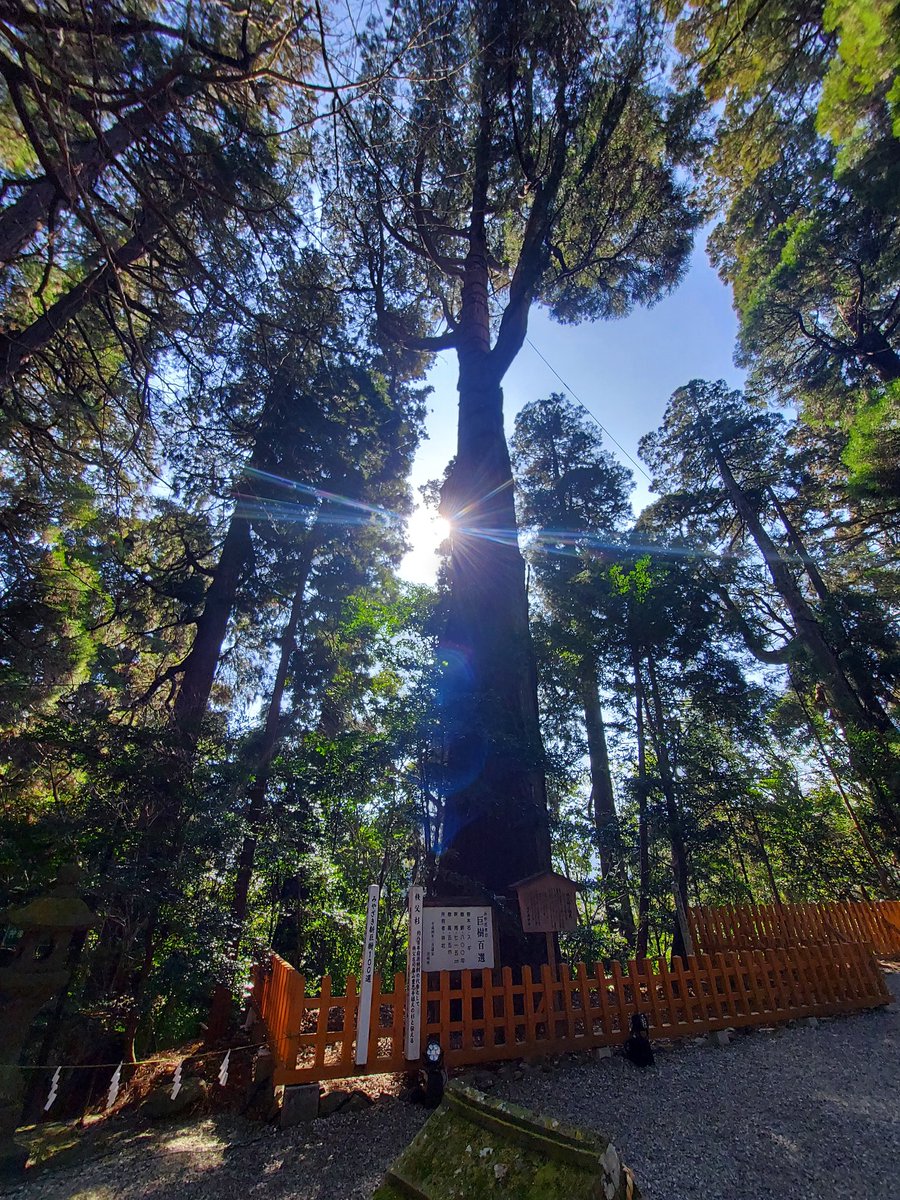 9648coffee's tweet image. 高千穂の『MARUMOKU COFFEE』さん。
細い路地裏にあるオシャレなカフェ、コーヒーも美味しく頂きました‼️

高千穂神社で商売繁盛の願掛け、大儲け待ったナシ‼️