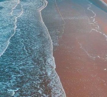 wnLDesign's tweet image. 森はどんなですか？ 👮