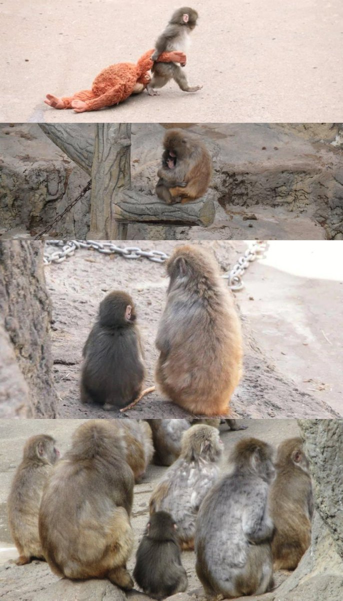 จากวันที่ไม่มีใครยอมรับ สู่วันที่รายล้อมไปด้วยเพื่อน