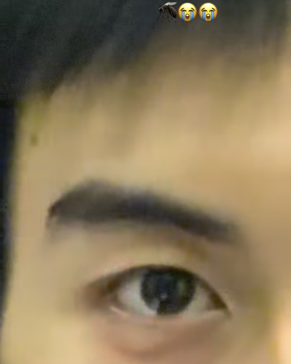 มาร์คคริสทีเจทรงพ่อลูกมากนะ ขนาดยุงที่ค่ายยังเลือกกัด 2 คนนี้เลย555555555555555555

#MARCKRIS #TJprinwat