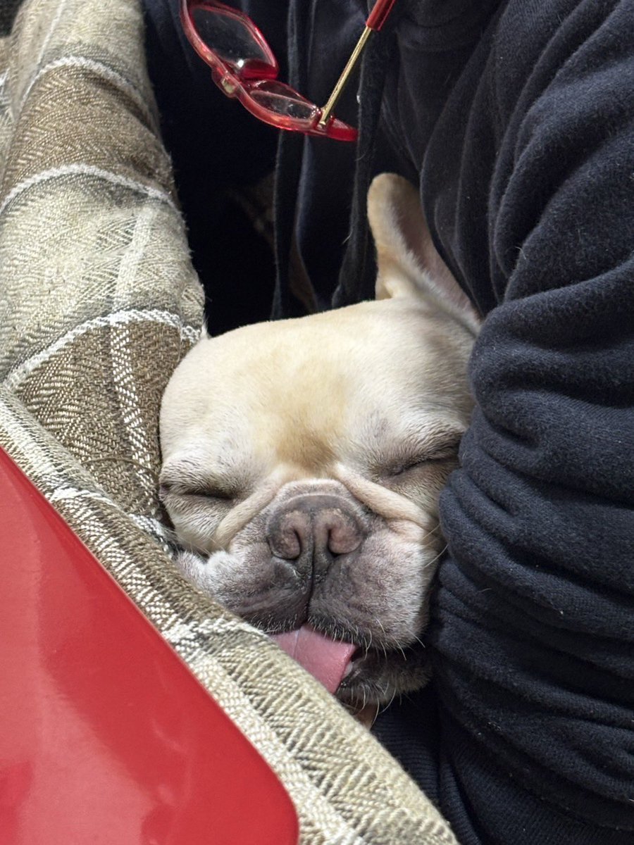 犬の舌垂らし眠るや春日向

2月19日、開店。
あったかい日が増えてきましたね。