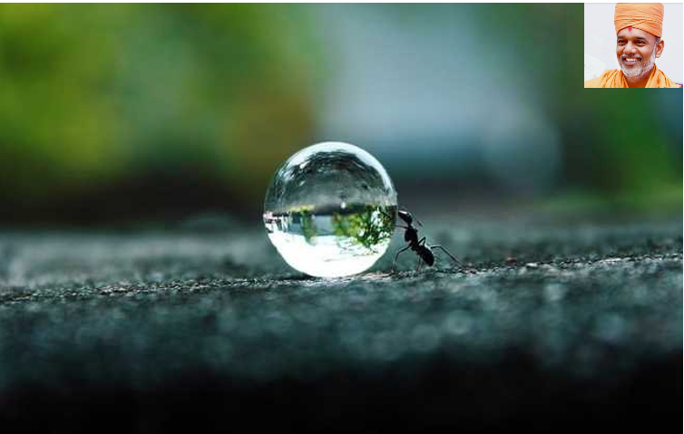 chitralekhamag's tweet image. હિંમતની હાર... ક્યારેય નહીં!...chitralekha.com/sweu 
#positivemind #SuccessMindset #chitralekha