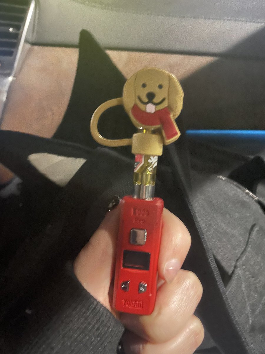 dogpoasting tweet media