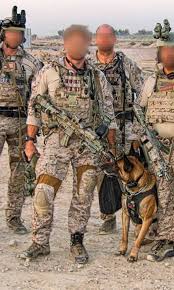 American Warrior for Christ tweet media