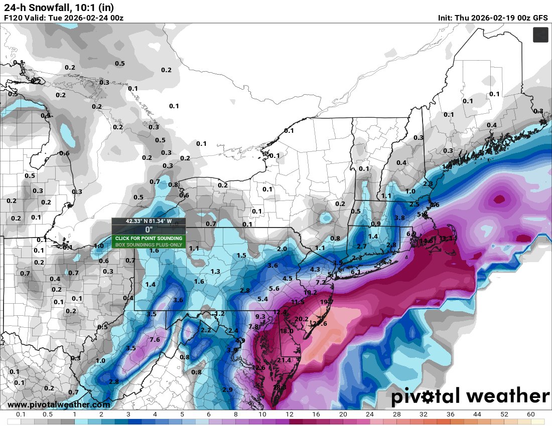 𝐝𝐬𝐩𝐫𝐢𝐧𝐠𝐳ᵂˣ tweet media