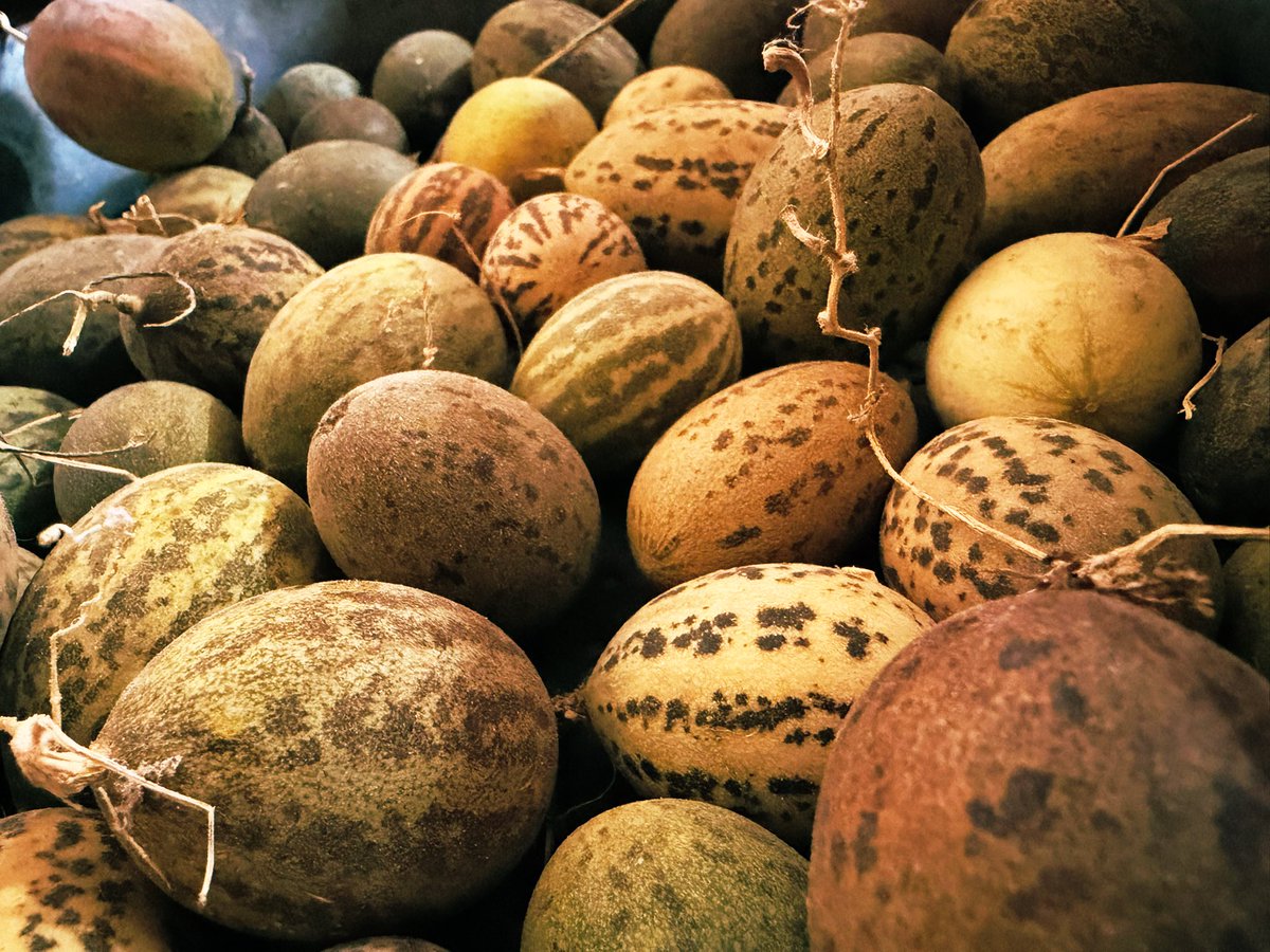 It’s called talent.😌🫣