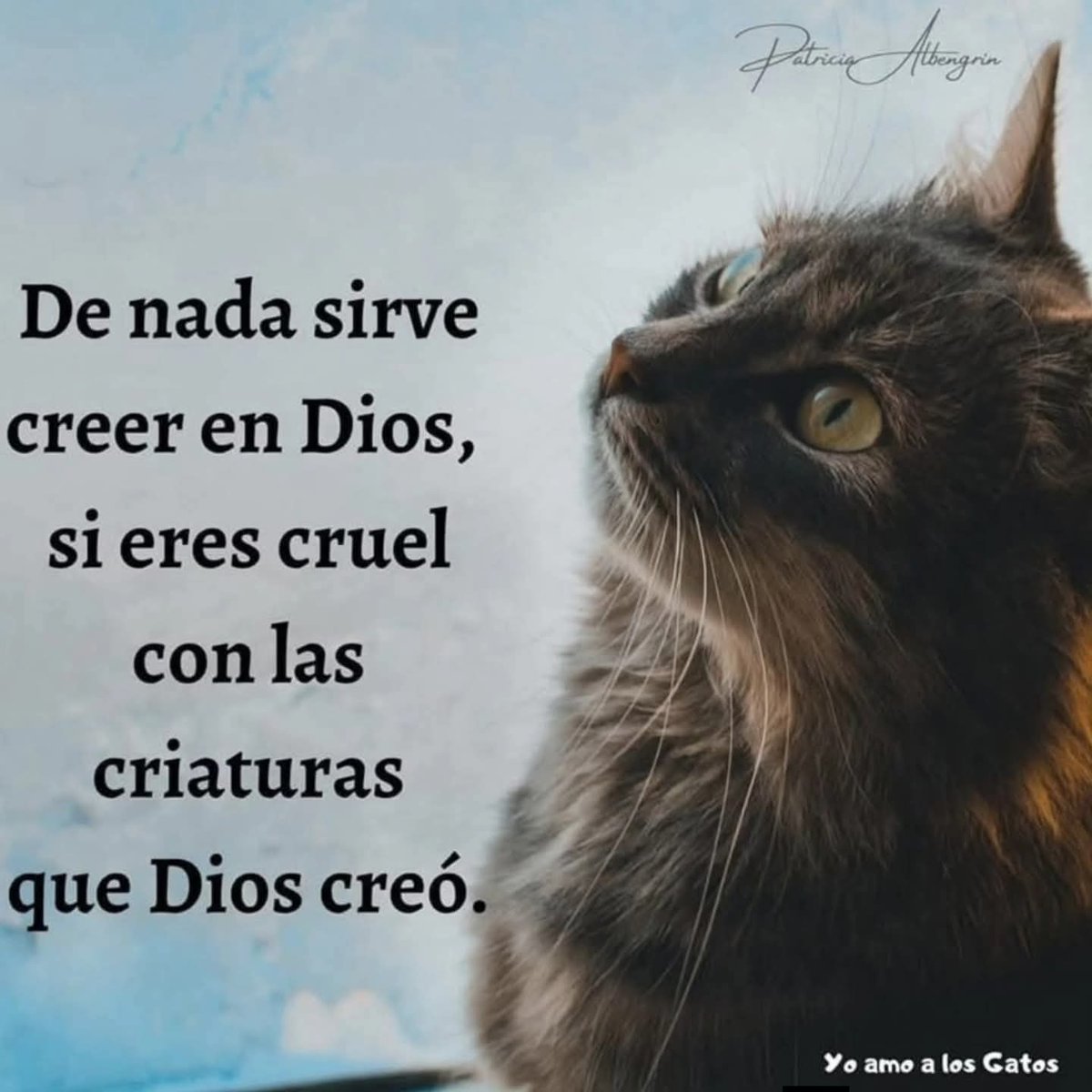 Manu Saenz💛💛 (@manusaenzvolvio) on Twitter photo 