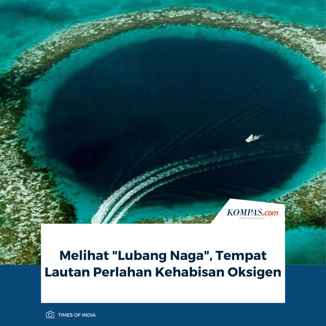 kompascom's tweet photo. Blue hole Sansha Yongle atau "Lubang Naga" sempat dikonfirmasi sebagai lubang biru terdalam di dunia dengan kedalaman mencapai 301 meter, sebelum akhirnya rekor tersebut dipecahkan oleh lokasi serupa di Meksiko.
Baca selengkapnya: https://t.co/bVKsXDfKx4.
~SN #BlueHole #LubangNaga #LubangTerdalam