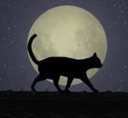 linkikinx's tweet image. 人はどっちですか？ 🗺️