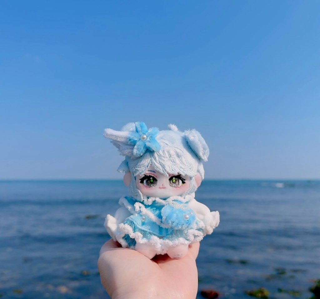 솜나바카나🧸🎄 tweet media