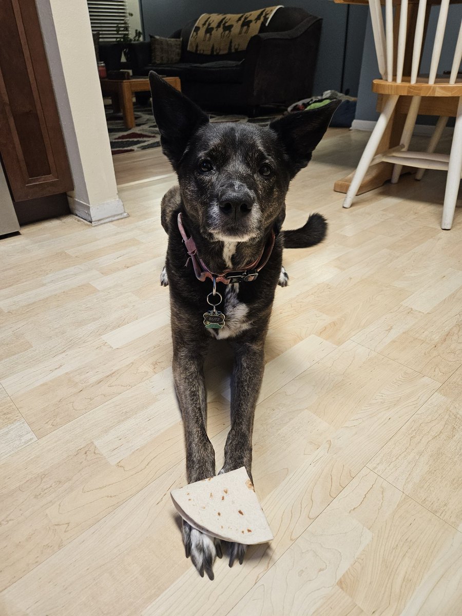 Ryan Aschaker tweet media