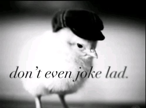 1mphulse tweet media