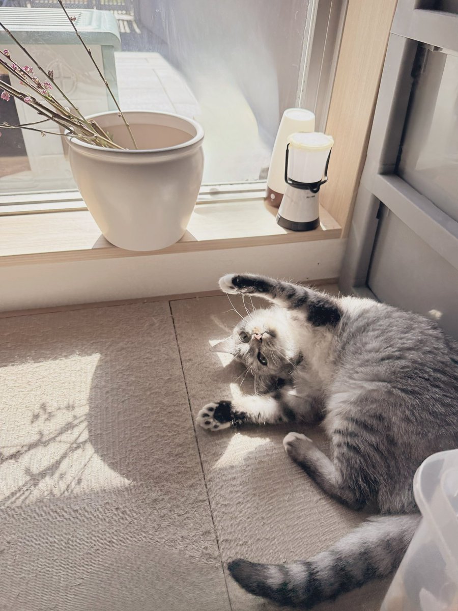 「向こうをいくのは春じゃないか」