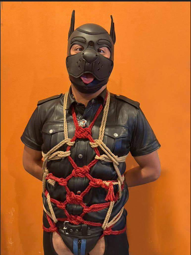 Axolo the Pup tweet media