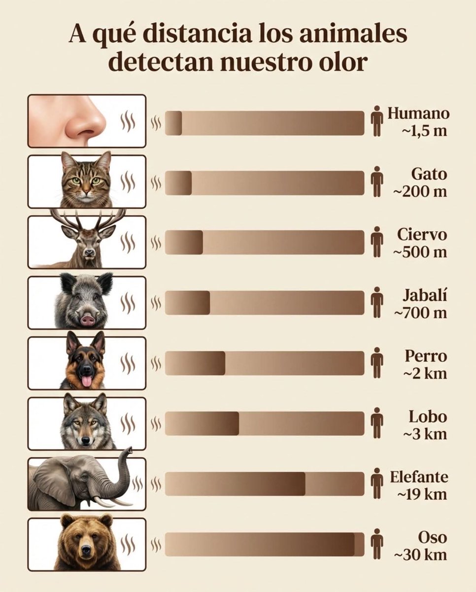 Suyapa María Figueroa Eguigurems tweet media