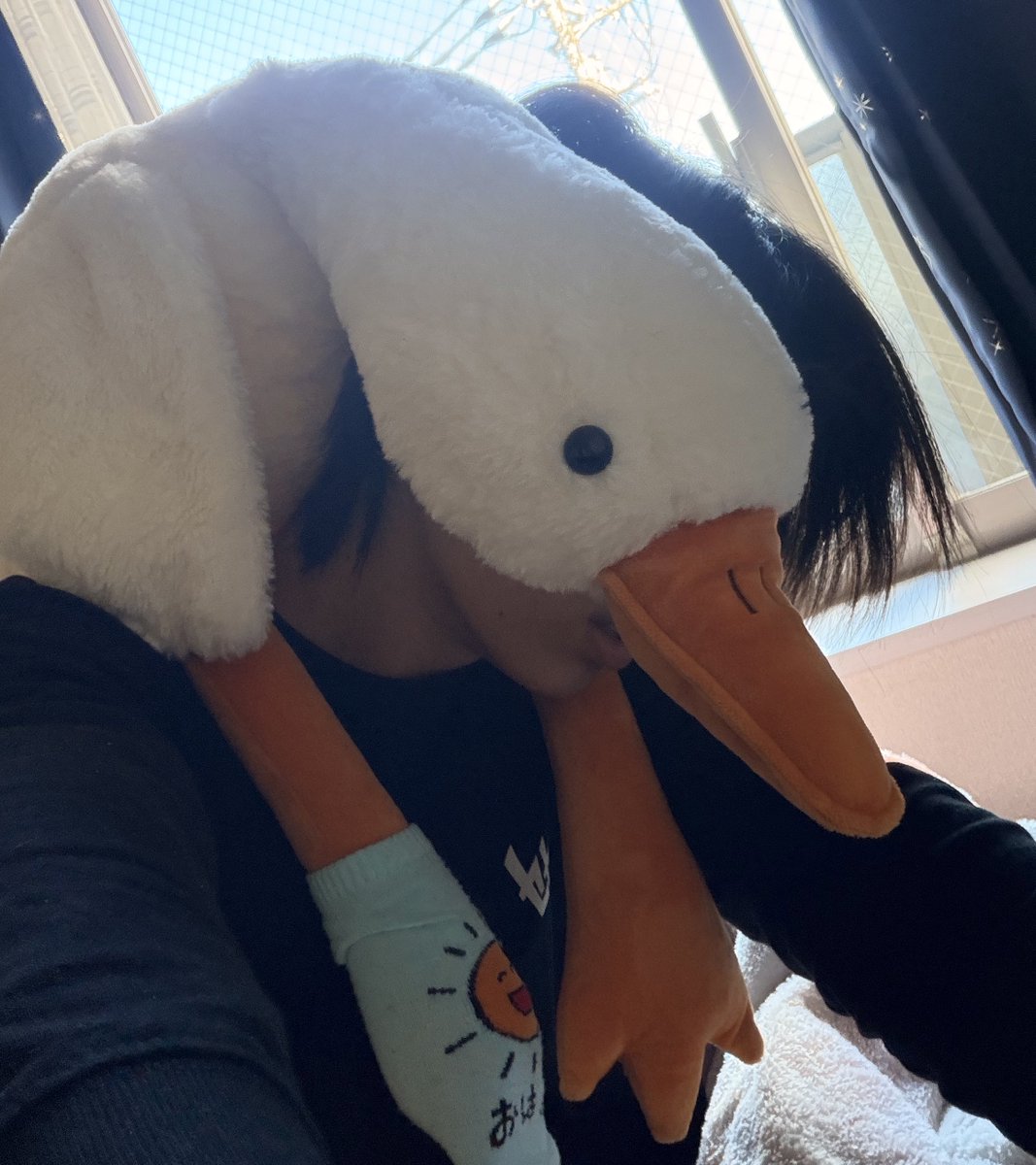 かんじ (@kanji_Toy) / Posts / X