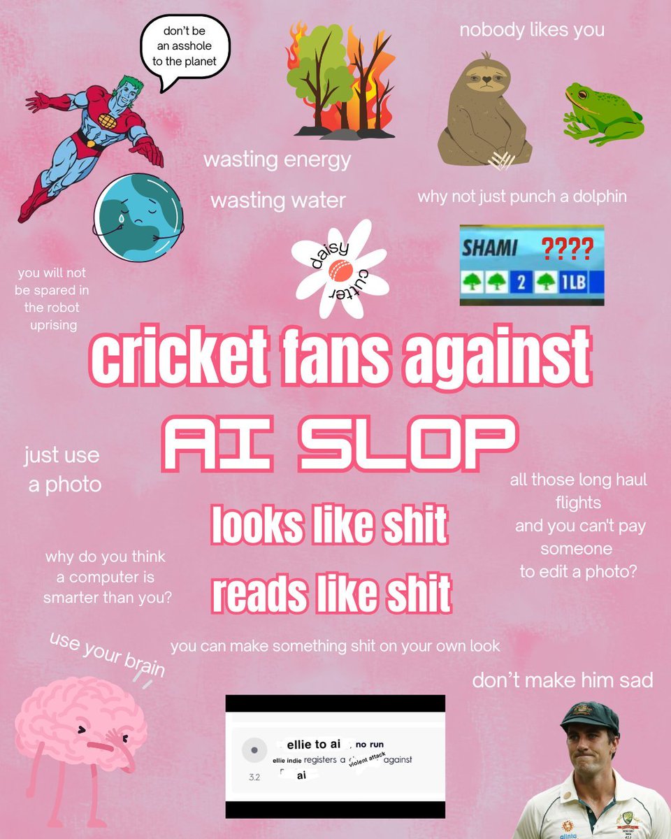 australian womens cricket with very little context (@awcwvlc) on Twitter photo 