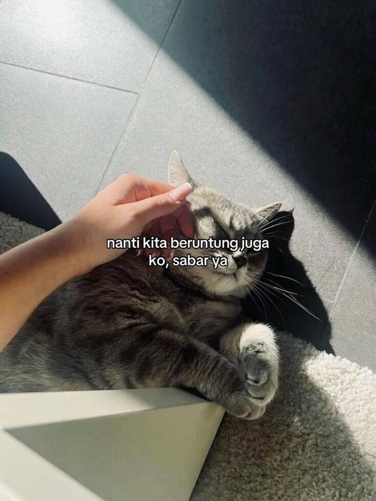 minesuga27's tweet image. 