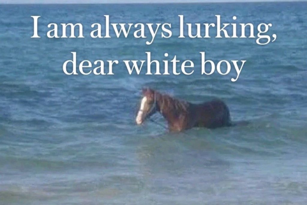 Mets Iran Fan Club 🇮🇷 tweet media