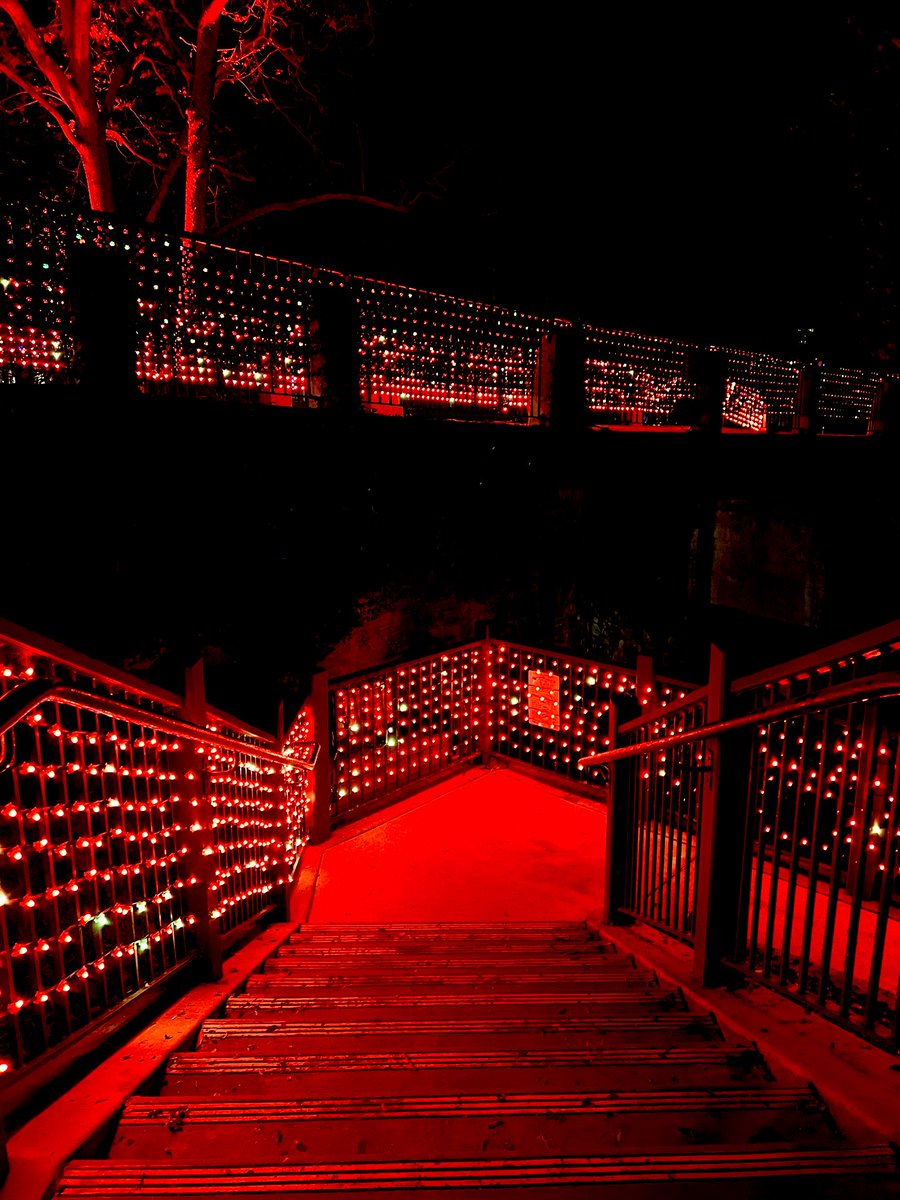 WildDevice's tweet image. A walk across the lights 
For the Chinese New Year 

#photography #ChineseNewYear