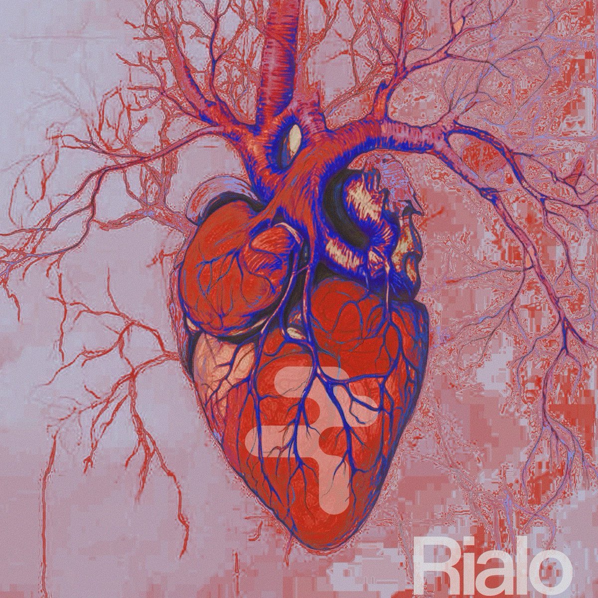 Rottenbaum tweet media