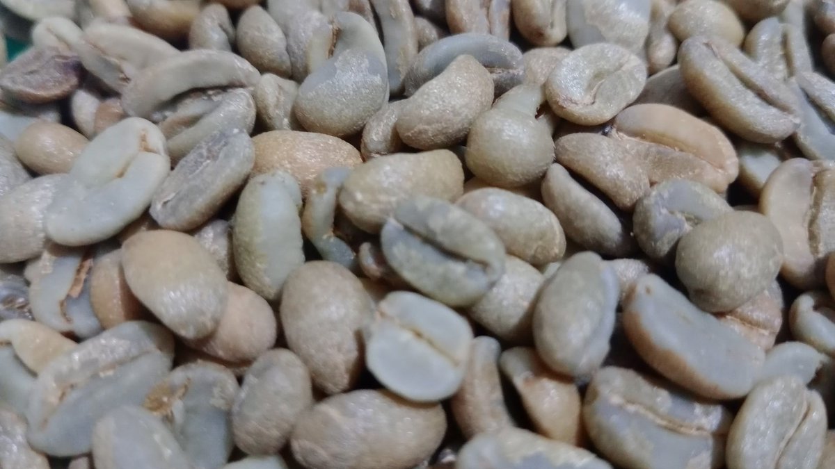 Stok baru yg istimewa soalnya ini single varietas Red Caturra ✨ ada yg Natural ada yg Honey process 😙