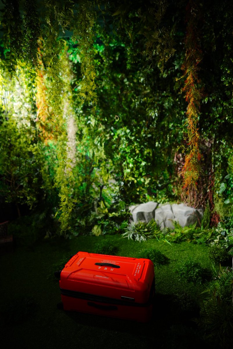 今日のスタジオはASA3studio（アササンスタジオ）さんでした！
浅草橋で、空調が効いた快適な森撮影ができますよ