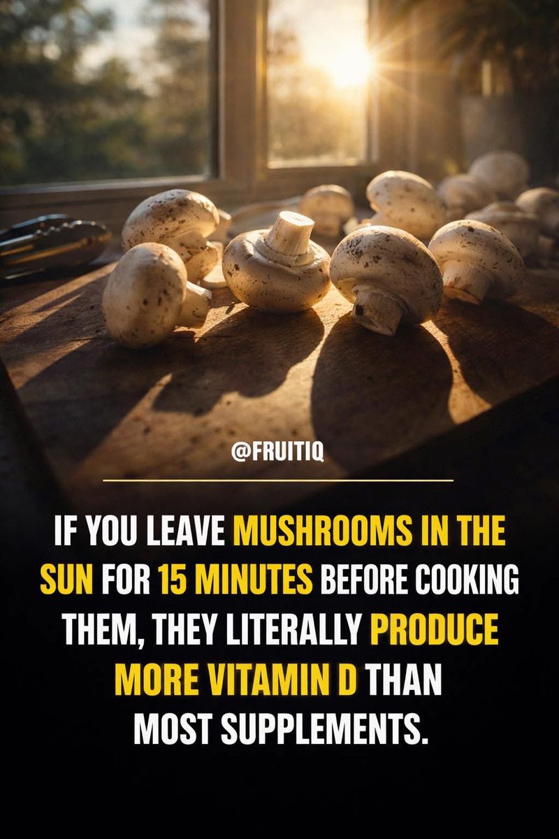 Mushrooms are the only produce item that can synthesize Vitamin D from sunlight, much like human skin. 

They contain a precursor called ergosterol. 

When exposed to UV light, they convert it into Vitamin D2. 

Studies show that even "store-bought" mushrooms will skyrocket in