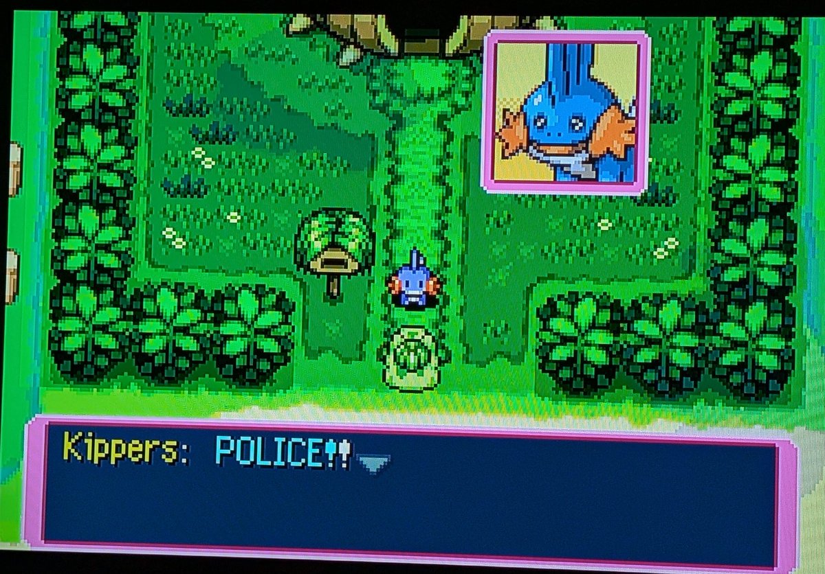kyogres's tweet image. I'm replaying Pokemon Mystery Dungeon on the Switch Virtual Console. 

It's been 5 minutes and my partner is already calling the cops on me.