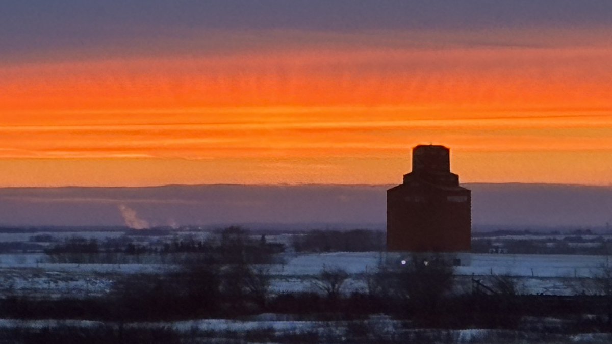 CTV News Calgary tweet media