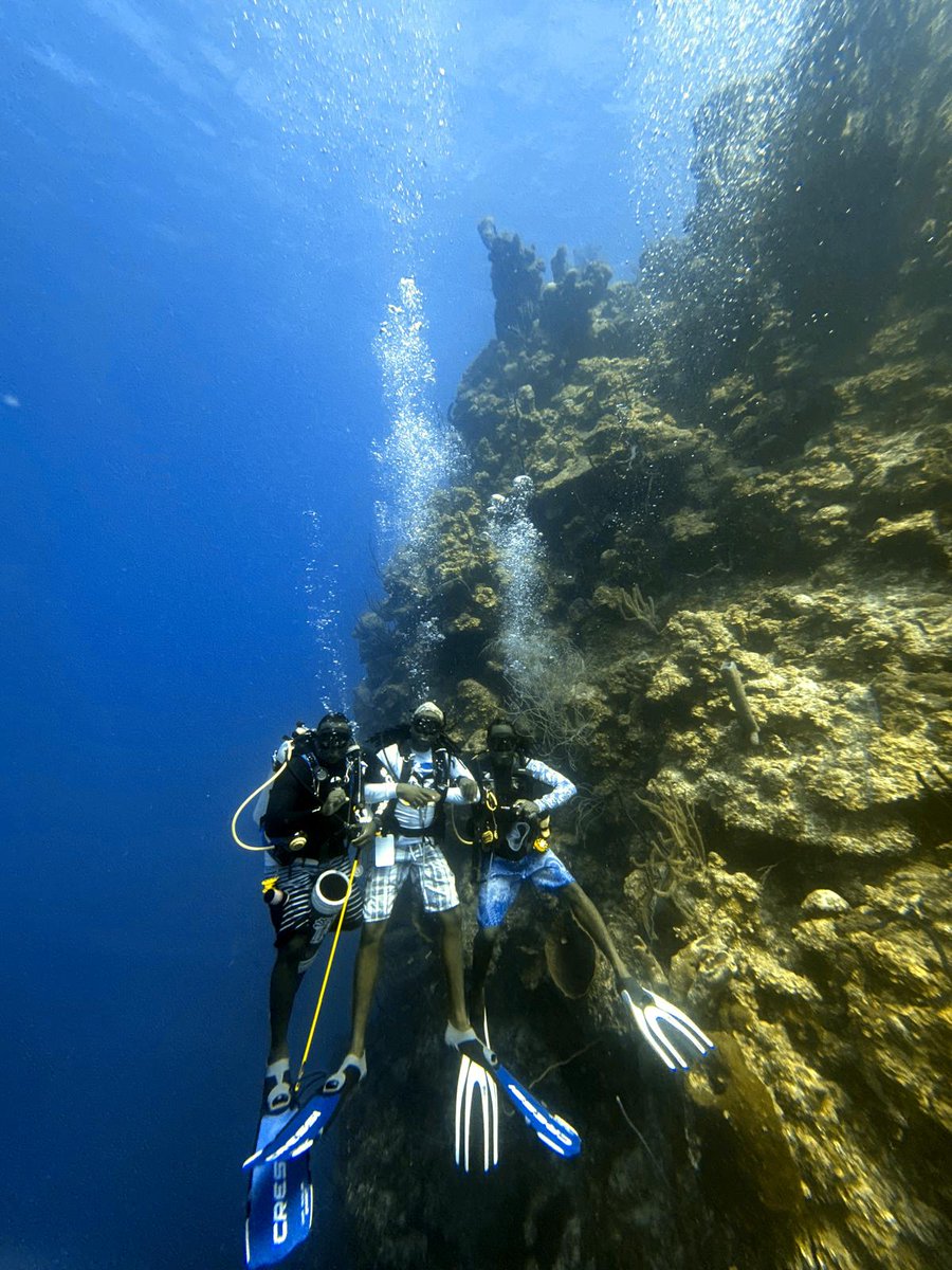 bzeadventures's tweet photo. Our diving Dream Team:

Monster, Bas, and Home Alone (left to right) at Pinnacles, Glover's Reef Atoll earlier today.

#OffTheWallBelize #BelizeAdventures #BelizeAdventure #SlickrockAdventures #GloversReefAtoll #LongCaye #Belize #IslandVibes #IslandLife #EcoResort #DivingBelize #BelizeDiving