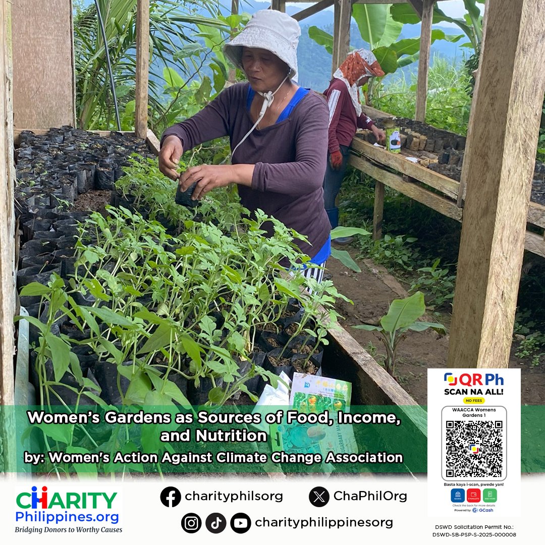 ChaPhilOrg's tweet image. What if the solution to better nutrition could grow right outside our homes? 

In many of our communities, families eat far fewer vegetables than what our bodies need for a healthy life. Through the Women’s Action Against Climate Change Association (WAACCA), 300 women and their