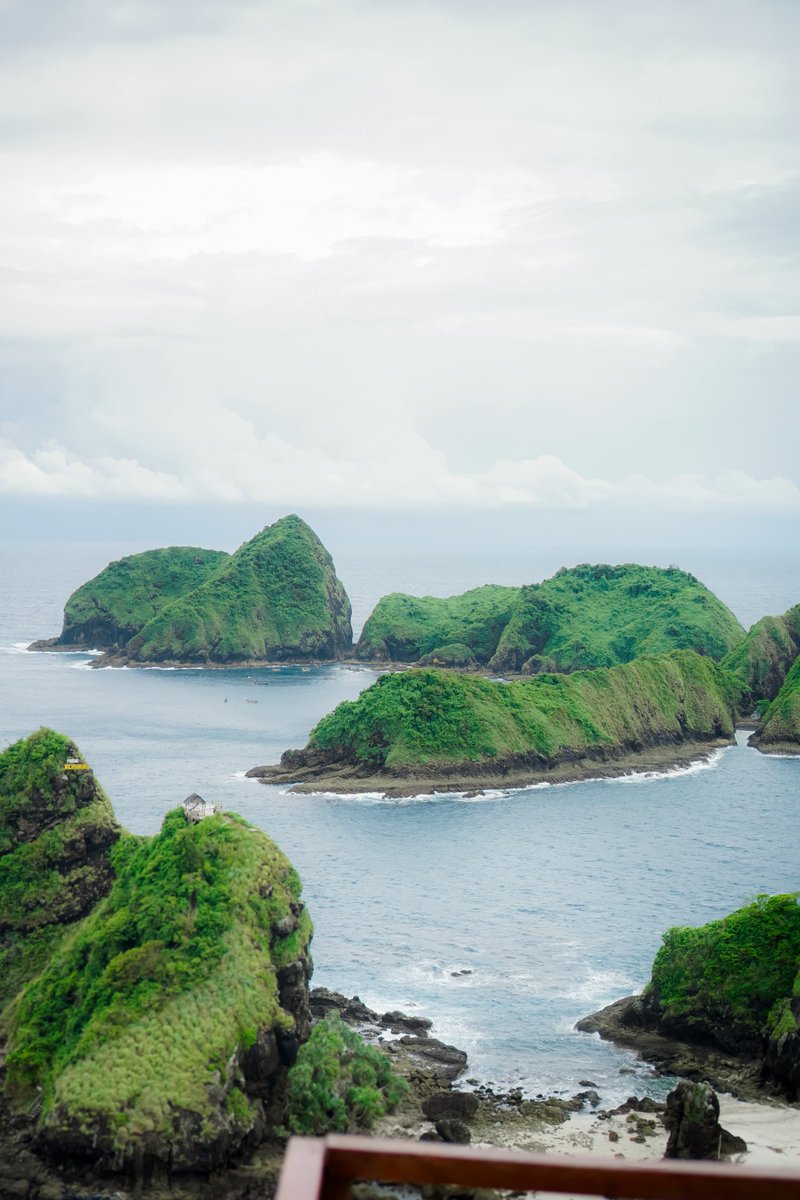 Sachio Ibrahim tweet media