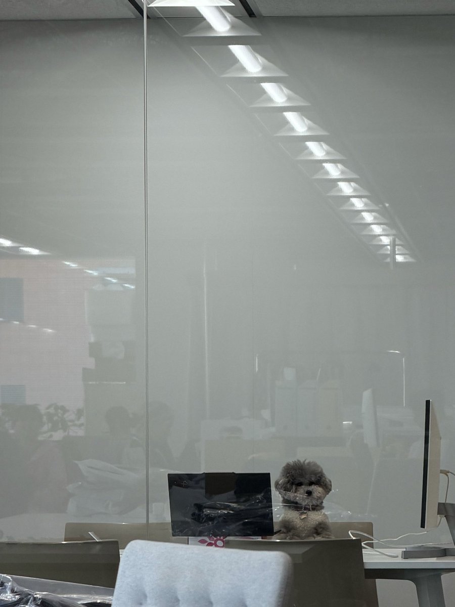 日常