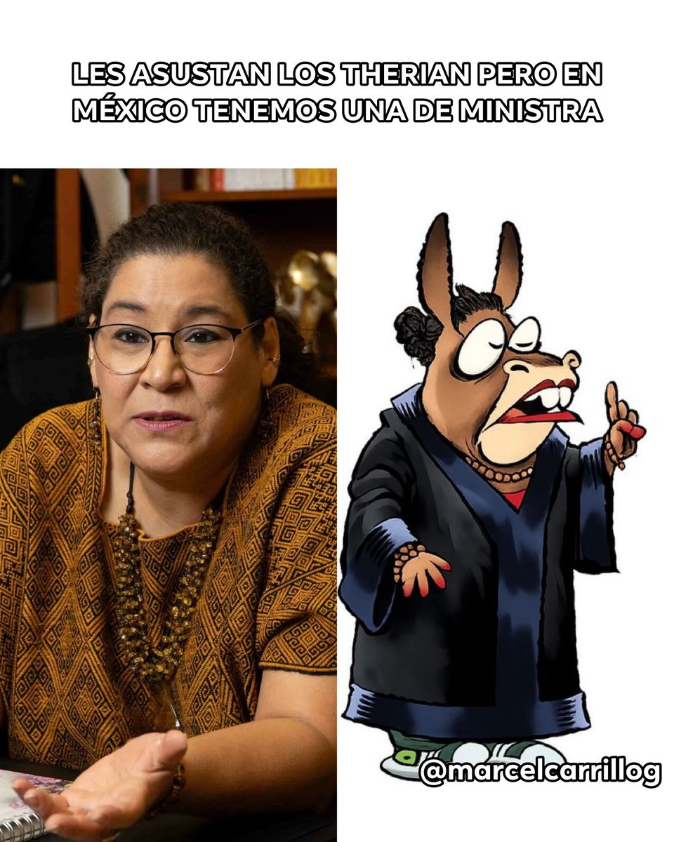 marcelcarrillog's tweet photo. Se espantan con los therian que se creen animales…
pero en México tenemos una ministra burra con toga y cargo en la SCJN.

Unos aúllan en redes.
Otros rebuznan desde el poder. https://t.co/a5YkE7HGh6