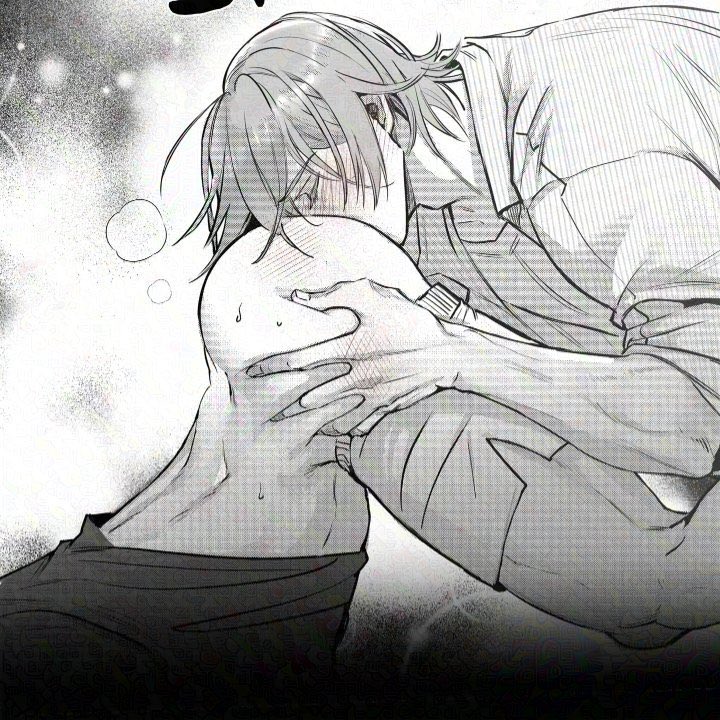 Alexander HL tweet media